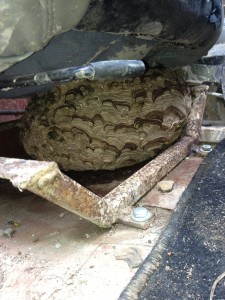 Wasp nest under a car seat - www.waspcontrolhertfordshire.com